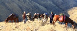 Randonées à cheval en Ouzbékistan